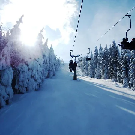 Apartmán Am Hohen Bogen-62 By Interhome *